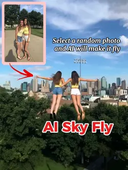 AI SKY FLY