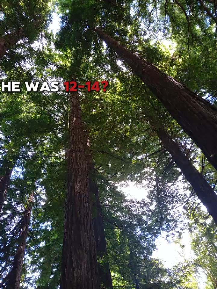 idk what to put here