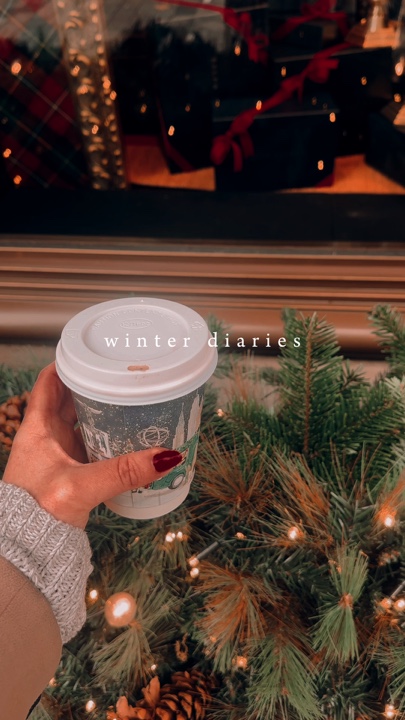 winter diaries 🤍