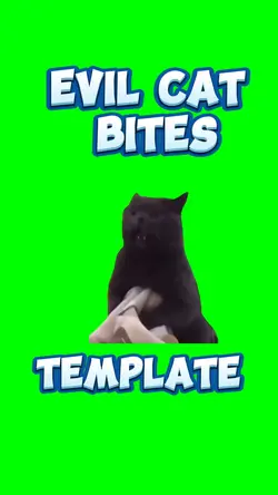 evil cat bites