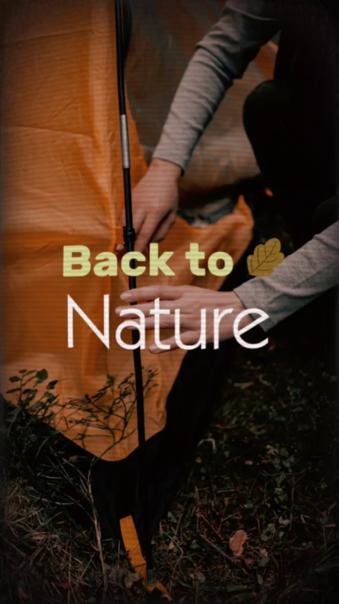 De vuelta a la naturaleza