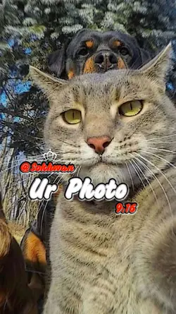 ตามไม่ออก