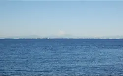 海辺の日常