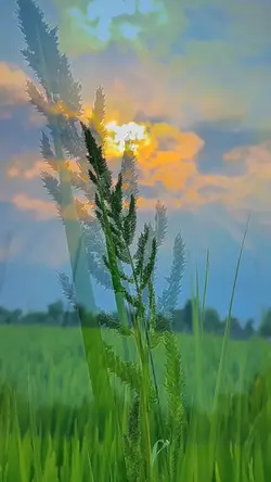 CINEMATIC 6 VIDEO