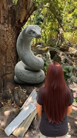 Cobra