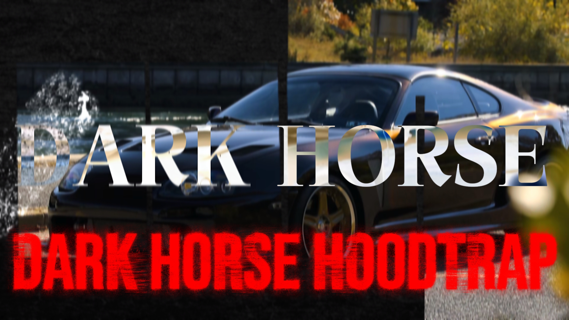 DARK HORSE HoodTrap