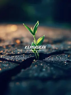MIMPI MANIS