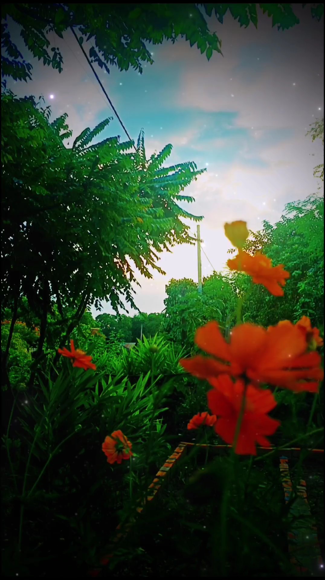 ស្រលាញ់ប្រពន្ធច្រើនៗ