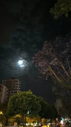 TALKING TO THE MOON