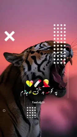 زه په تا بد ګمان