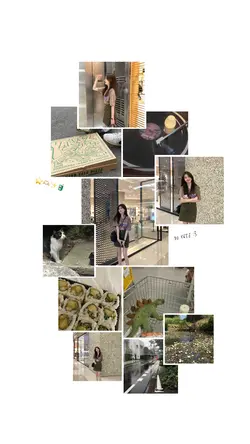 11 photos 