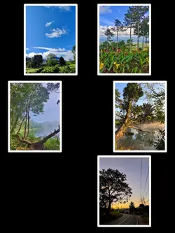 6Pic Clip Aesthetic