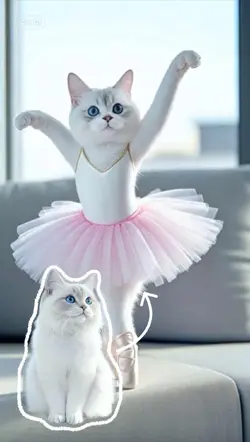 dancing cat