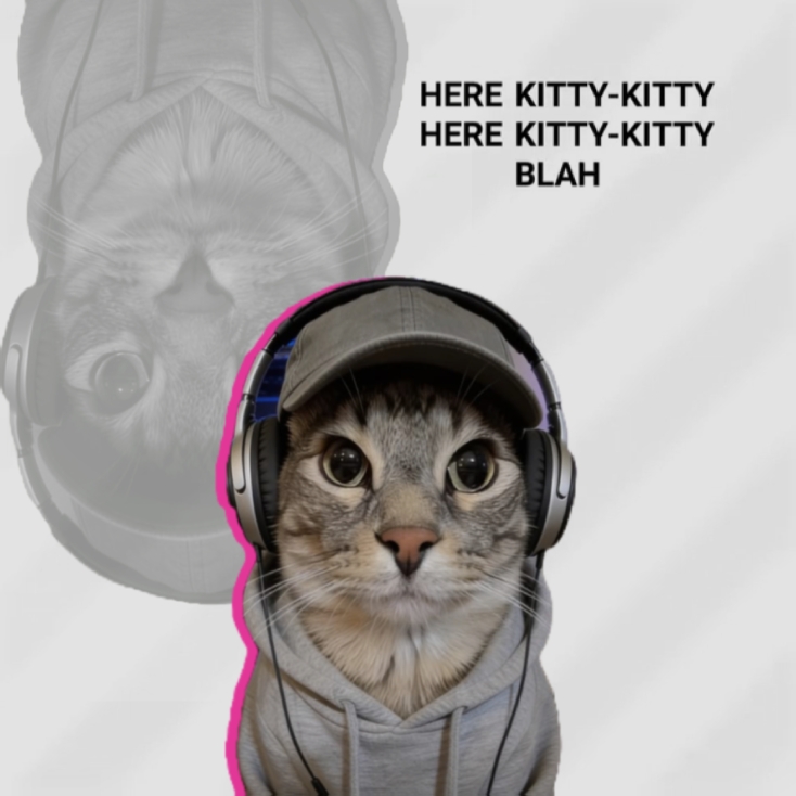 AQUÍ GATITO GATITO BLA