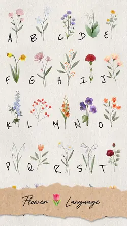 Flower Language 🌺