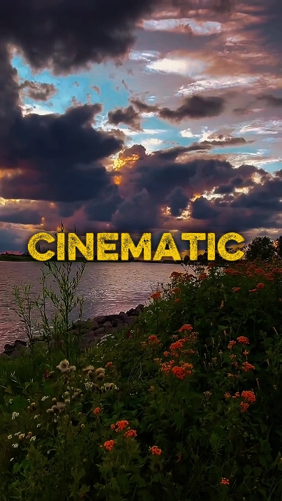 6 Clips Video or Pho