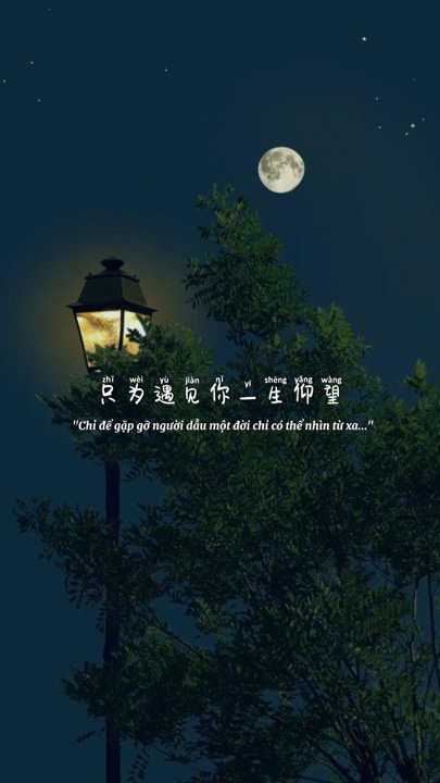 Mẫu tâm trạng 2 ảnh