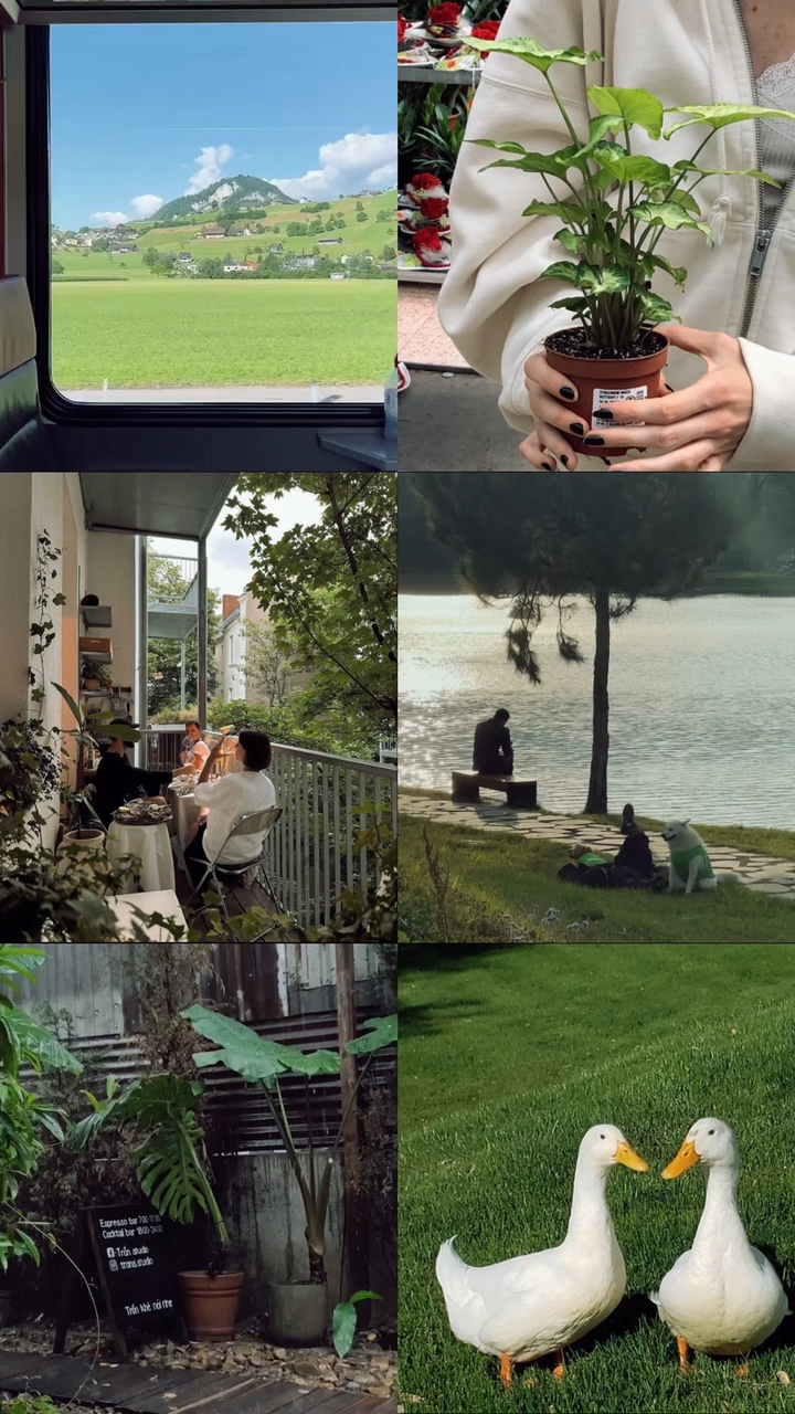 6 fotos de video