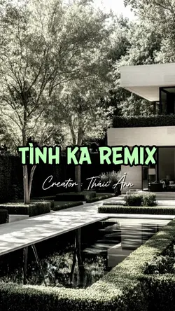 TÌNH KA REMIX