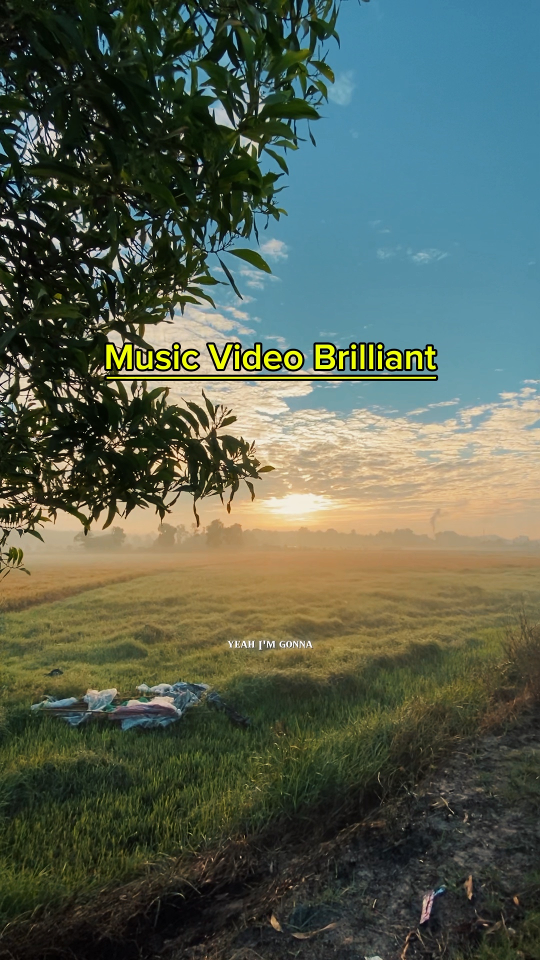 1 vidéo brillante