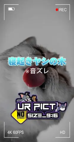 寝起きヤシの木 ※音ズレ