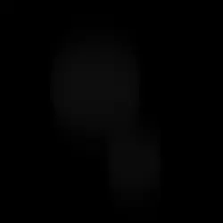 HEADLIGHT SLOWNO 