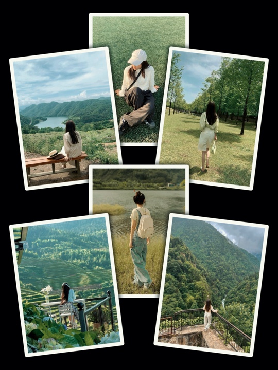 6Pic Trend Aesthetic