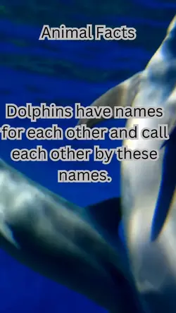 Did you know?