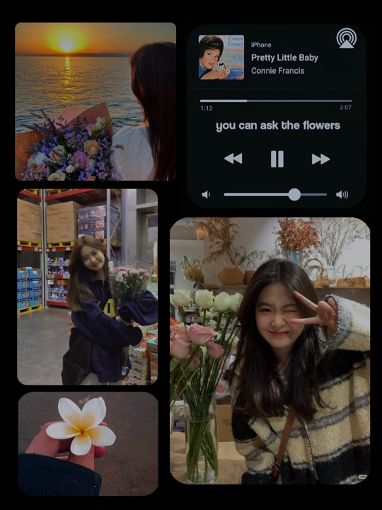 Flores