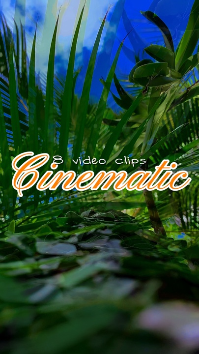 Video sinematik 8
