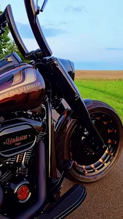 Harley Vibes