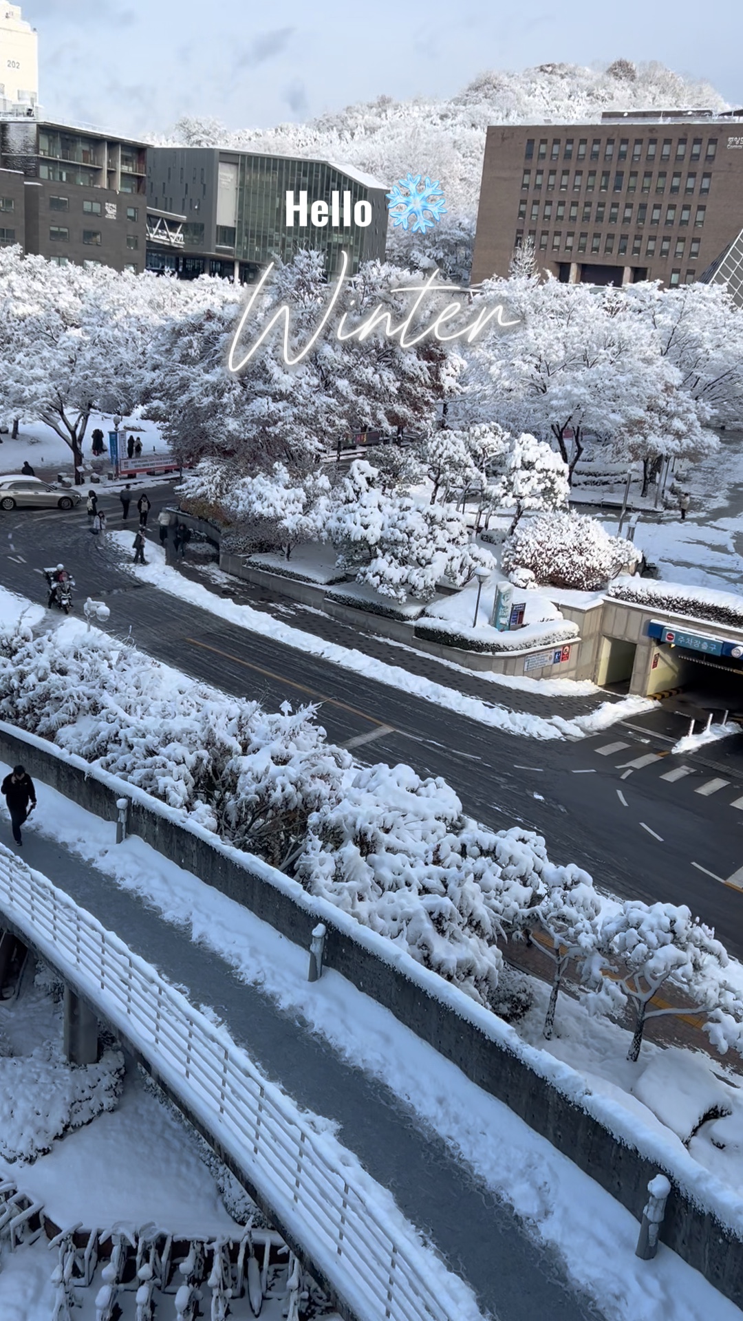 Chute de neige