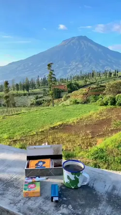 hidup macam apa ini
