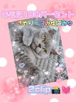 キミに100パーセント