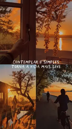 Contemplar o simples