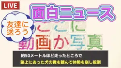 おもしろニュース