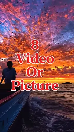 8 video or picture 