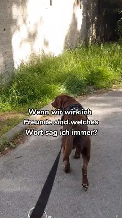 Wenn wirklich ...