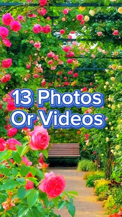 13 Photo Slides