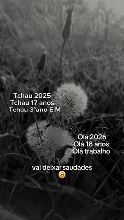 Tchau 2025
