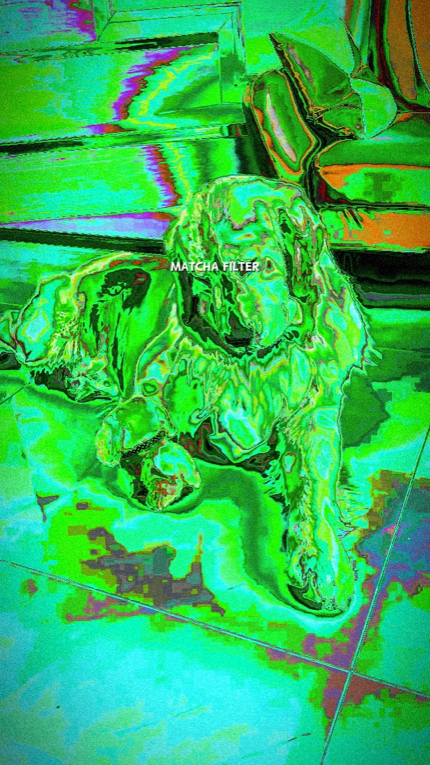 Matcha filter effect