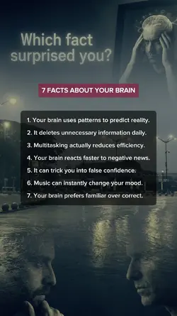 Facts Your Brain
