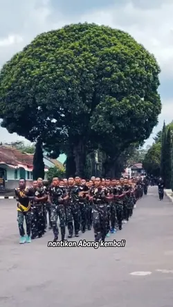 Yel yel tni