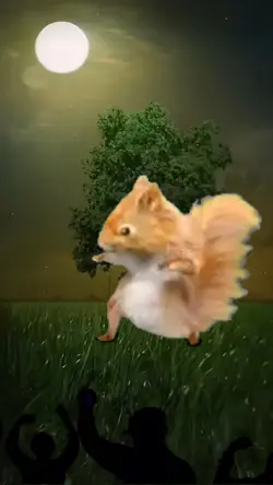 Dancing squirrel