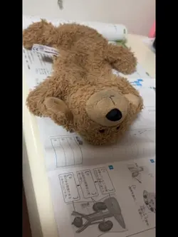 宿題どうする？テストやばい