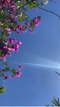 Bom dia 