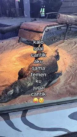 kalo soal cantik