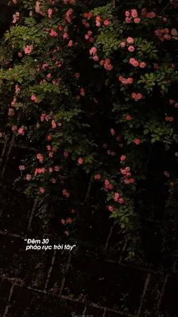 1 ảnh tâm trạng