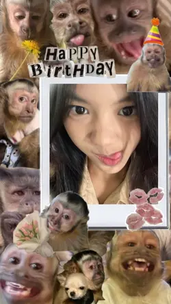 hbd lucu monyet