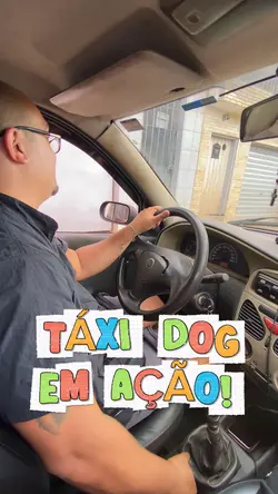 Táxi Dog 🚕
